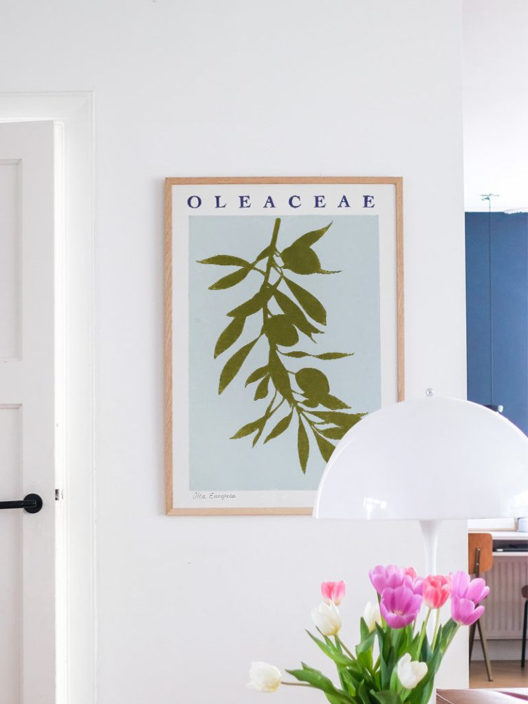 Poster Printed Plant Oleaceae