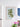 Poster Printed Plant Oleaceae