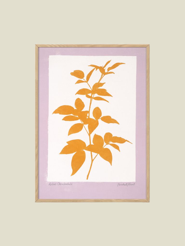 Poster Rubus Printed Plant