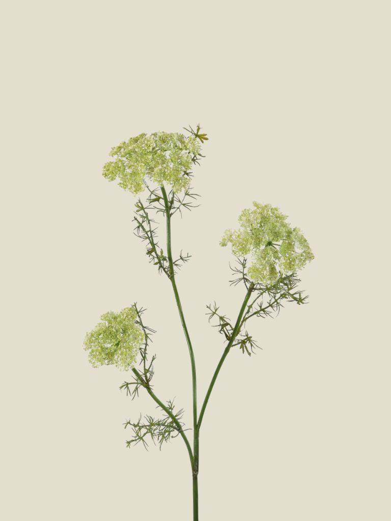 Queen Anne's Lace Spray 72cm