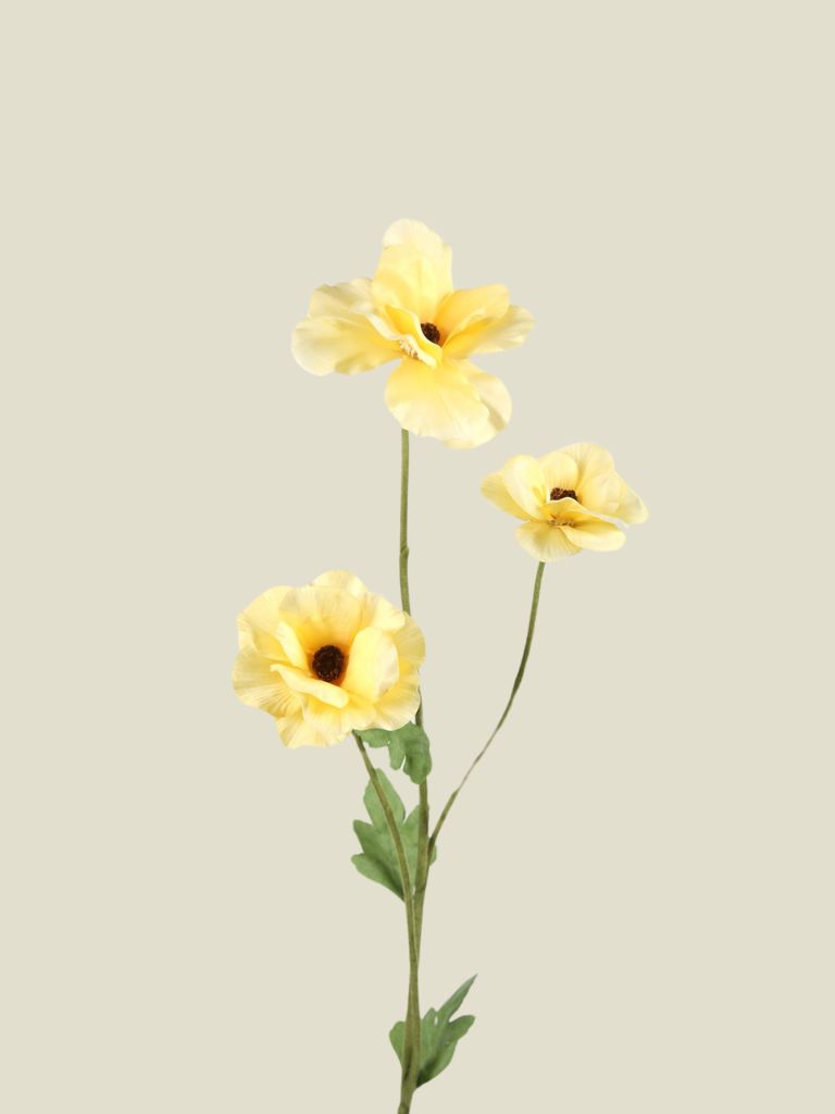 Ranunculus Butterfly Yellow 61 cm