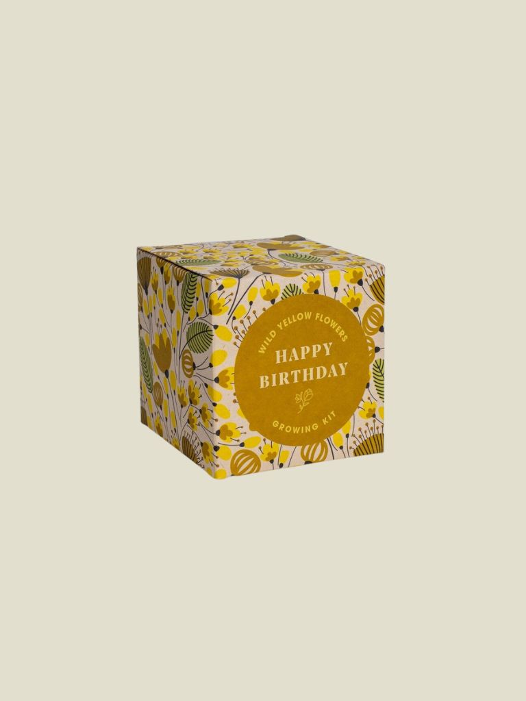 Say it with Flowers Growing Kit Happy Birthday