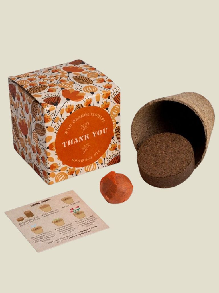 Say it with Flowers Growing Kit Thank You