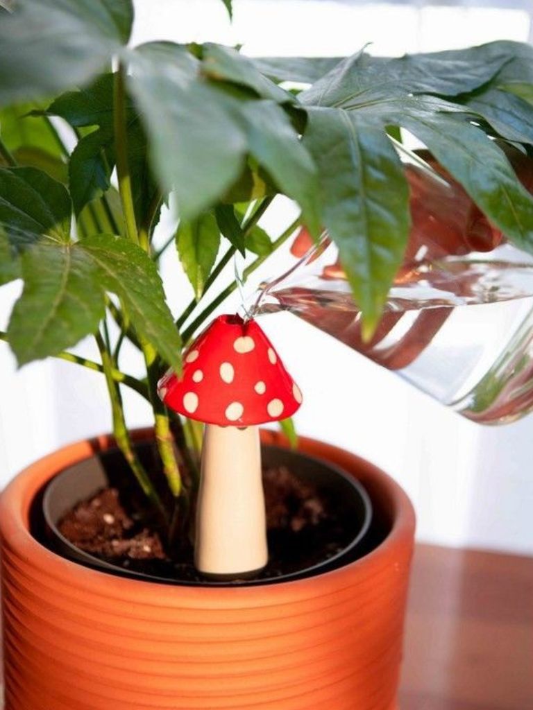 Self Watering System Amanita Red