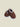 Slippers Alwero X Salty Cloudlet Junior Choco Martini