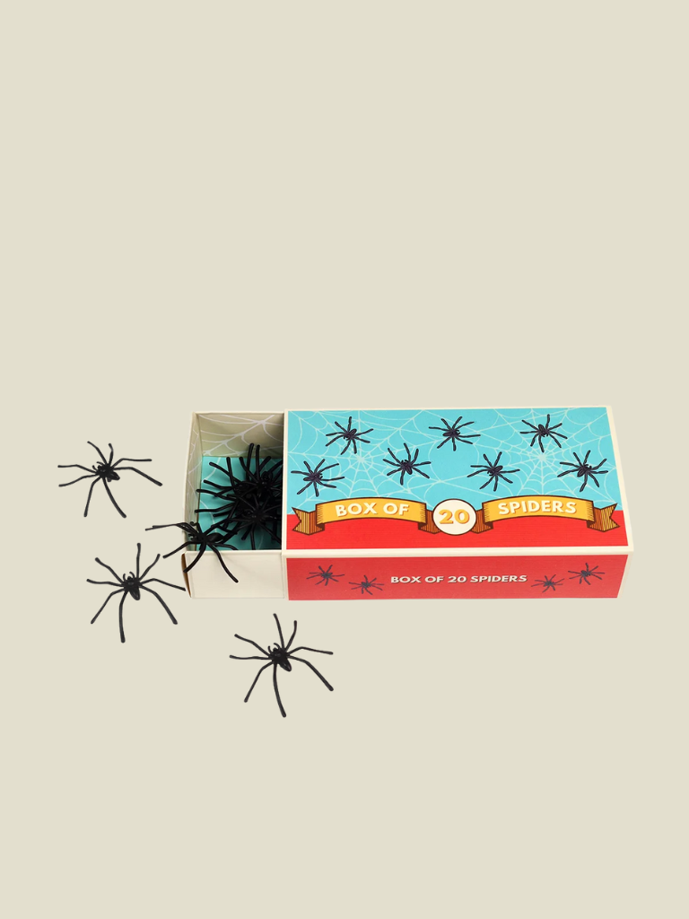 Spider Box 20 Pieces