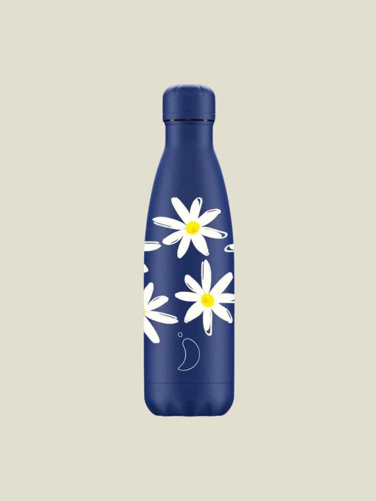 Bottle Spring Daisy