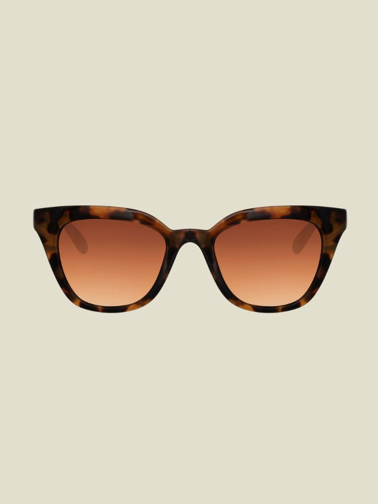 Sunglasses Sabine Brown