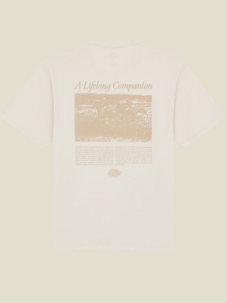Tshirt Companion Script Whitecap Gray
