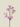 Wild Flower Spray Rose 43cm