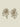 Funky Earrings (Set) Pearl Drops Gold