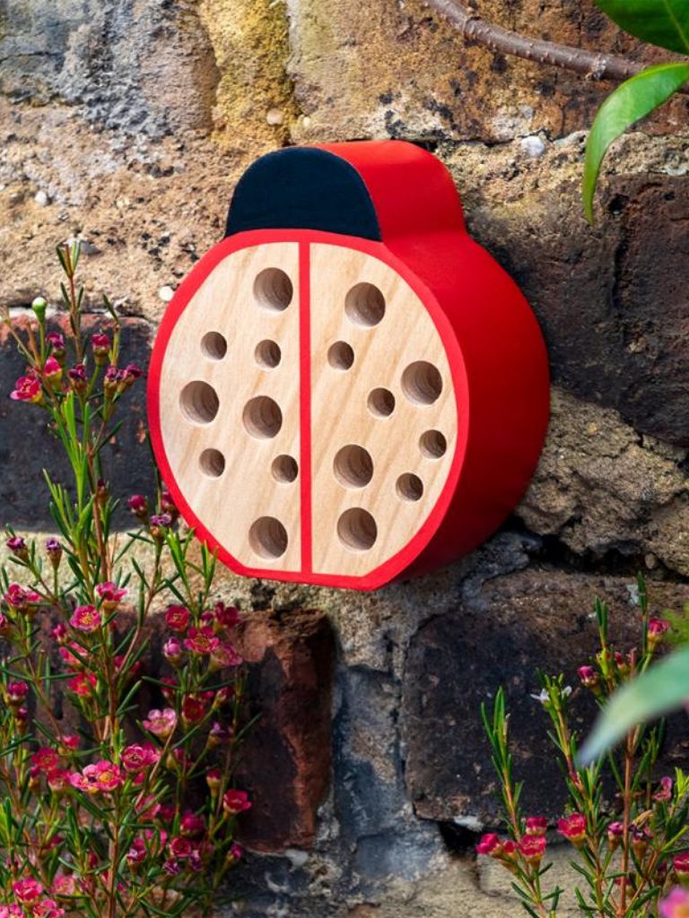 Wooden Ladybird Hotel