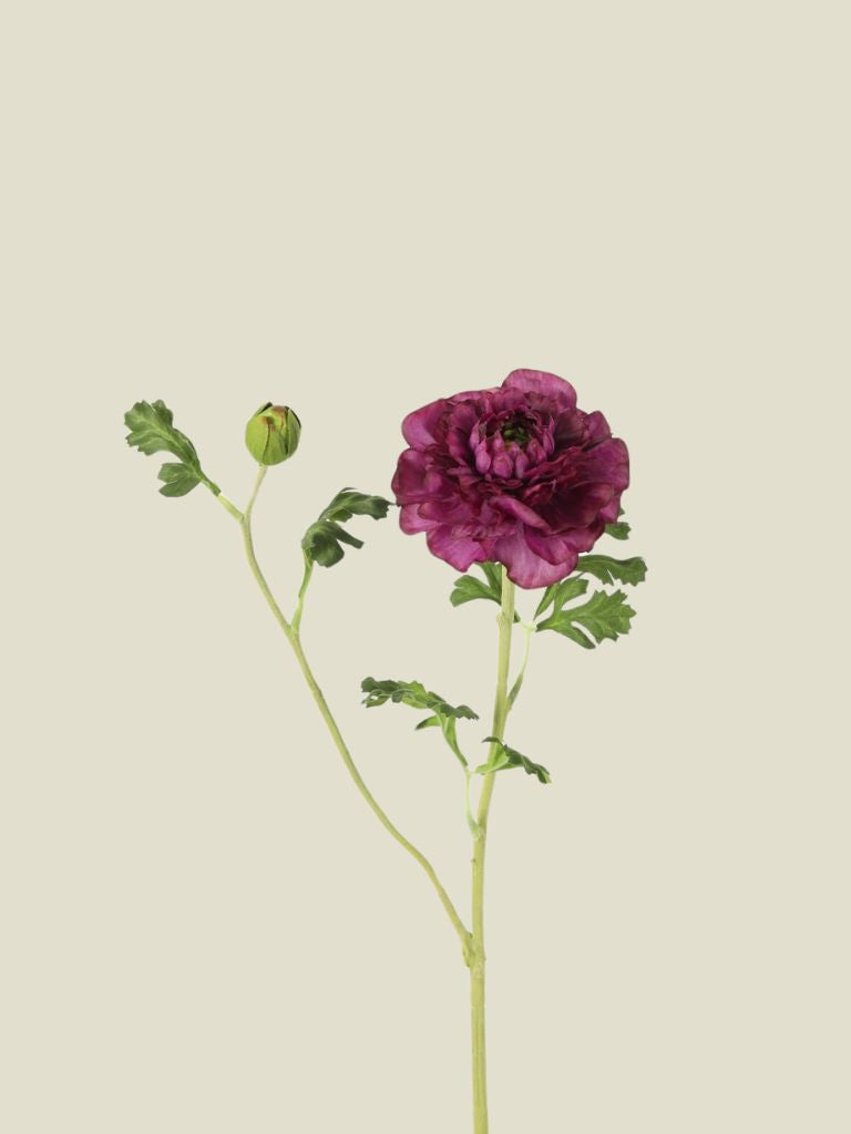 Zinnia Spray Purple 71cm