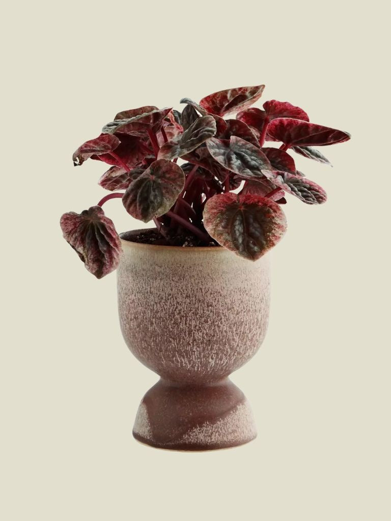 Stoneware Flower Pot Powder