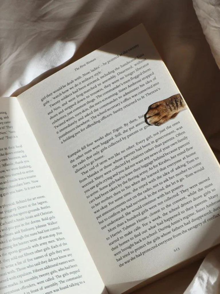 Magnetic Cat Paw Bookmarks