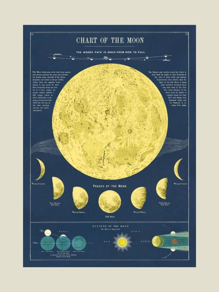Poster Moon Chart