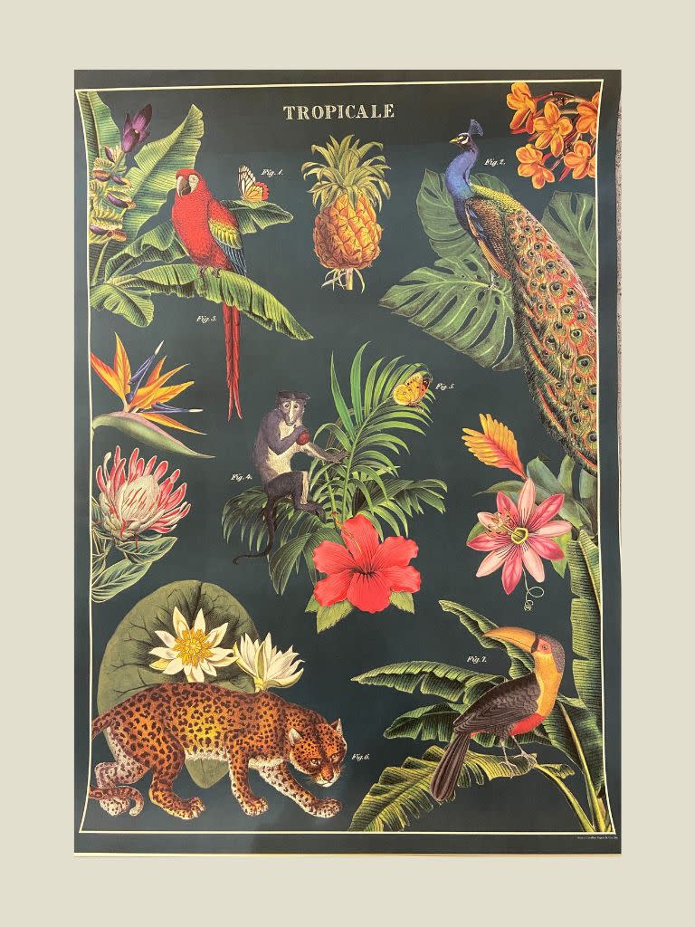 Poster Tropicale