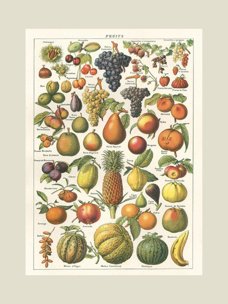 Poster Fruits (Druiven)